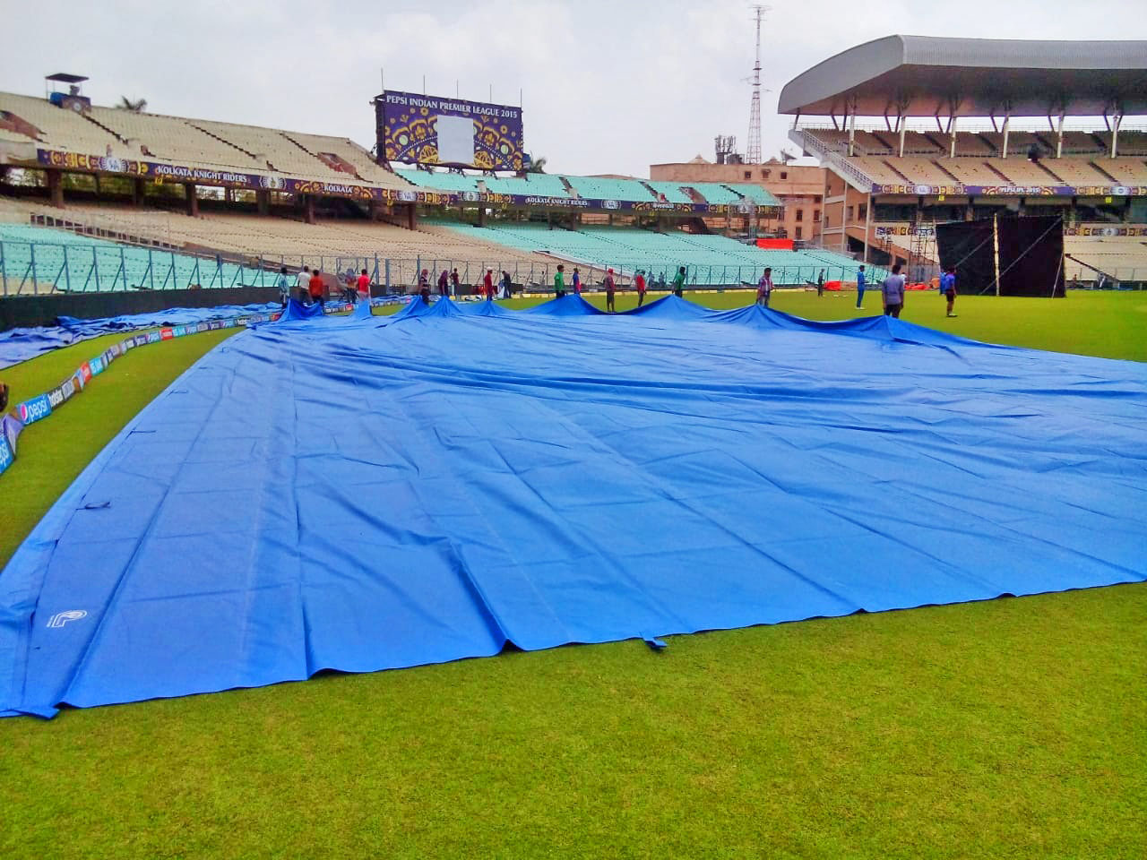 cricket pitch & ground cover